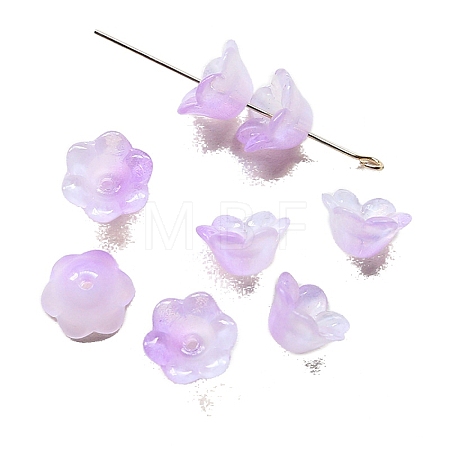 Handmade Lampwork Beads Cap PW-WG44676-03-1