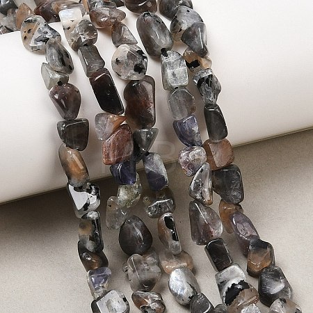 Natural Moonstone Beads Strands G-A284-A01-03-1