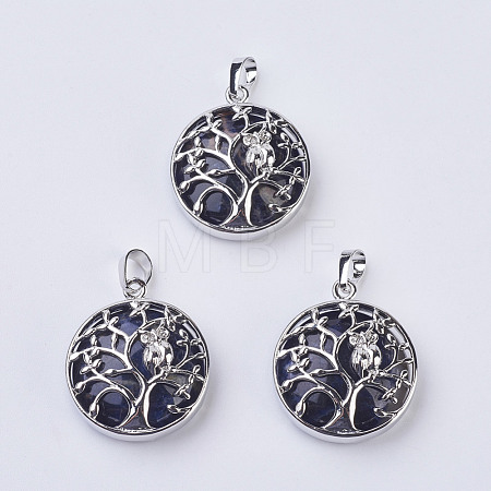 Natural Sodalite Pendants G-K234-E01-1