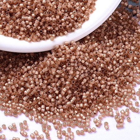 MIYUKI Delica Beads SEED-J020-DB2172-1