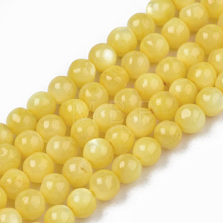 Natural Freshwater Shell Beads Strands SHEL-N003-24-B08-1
