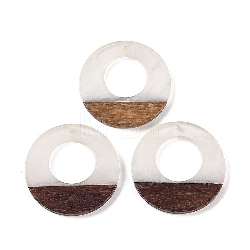 Resin & Wood Pendants WOOD-F015-14C-1