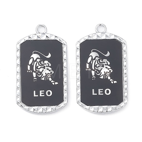 Alloy Twelve Constellations Series Big Pendants PALLOY-O107-01P-02-1