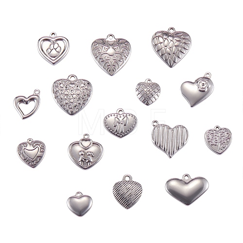 15Pcs 15 Style Stainless Steel Pendants STAS-SZ0001-60-1