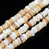 Natural Freshwater Shell Beads Strands X-SHEL-S278-067G-1