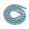 Shell Pearl Beads Strands BSHE-K015-4mm-02-4