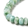 Natural Glass Beads Strands G-I247-36B-4