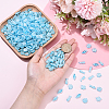 Craft Style Transparent Acrylic Charms TACR-YW0003-19A-4