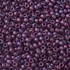 TOHO 8/0 Round Beads SEED-TR08-0625F-2