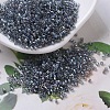 MIYUKI Delica Beads SEED-X0054-DB0179-1