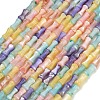 Natural Freshwater Shell Beads Strands SH-CBA93AD-04-1