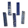 Natural Lapis Lazuli Pendants G-D350-03B-1