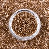 FGB 11/0 Grade A Baking Paint Glass Seed Beads X-SEED-S030-1146-3