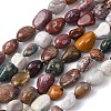 Natural Ocean Jasper Beads Strands X-G-E483-39B-2