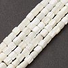 Natural Sea Shell Column Bead Strands SSHEL-M014-22-A-2