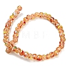 Handmade Lampwork Beads Strands LAMP-H071-01A-05-2