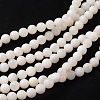 Natural Shell Beads Strands X-PRB001Y-3