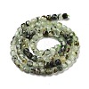 Natural Prehnite Beads Strands X-G-B088-E16-04-3