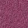 TOHO 11/0 Round Beads SEED-TR11-PF0563-2