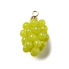 Grape Brass Acrylic Pendants OACR-R006-05G-06-1