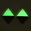 Walnut Wood & Luminous Glow in the Dark Resin Pendants RESI-N039-76-2