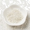 8/0 Glass Seed Beads X-SEED-Z001-C-E08-2