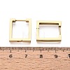304 Stainless Steel Hoop Earrings STAS-T074-48G-3