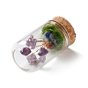 Natural Amethyst Chips Money Tree in Dome Glass Bell Jars with Wood Base Display Decorations DJEW-K030-02L-2