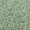 MIYUKI Round Rocailles Beads SEED-X0056-RR2354-3