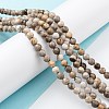 Natural Silver Leaf Jasper Beads Strands G-E444-35A-8mm-2