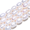 Natural Cultured Freshwater Pearl Beads Strands PEAR-N012-07F-3