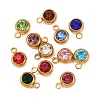Birthstone 201 Stainless Steel Rhinestone Charms STAS-G368-01G-2