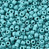 TOHO 3/0 Round Beads SEED-TR03-0055-2