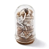 Glass Dome Bottle Display Decorations AJEW-JD00008-01-1