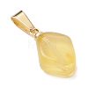 Natural Amber Pendants PALLOY-JF05157-4