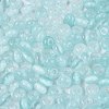 FGB Grade A Drawbench Style Glass Seed Beads SEED-Q040-02A-06-3