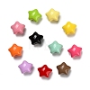 Baking Paint Opaque Acrylic Beads SACR-P035-09-2