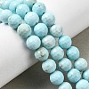 Natural Magnesite Beads Strands G-P598-E-10mm-01-1
