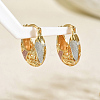 Brass Hollow Hoop Earrings NR0878-4-1