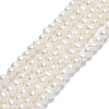 Natural Cultured Freshwater Pearl Beads Strands PEAR-F018-16A-01-1