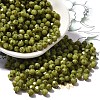 Baking Paint Glass Seed Beads SEED-A032-02A-02-1