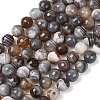 Natural Botswana Agate Beads Strands G-G453-B01-10mm-2
