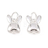 925 Sterling Silver Charms STER-I024-02S-1