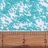 MIYUKI Delica Beads SEED-J020-DB0658-4