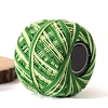 Section Dyed Cotton Knitting Yarn PW-WG4AE3B-05-1