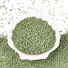 FGB 11/0 Grade A Baking Paint Glass Seed Beads SEED-S030-1037-2