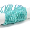 Natural Amazonite Beads Strands LS-G-I379-A02-02-2