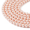 Preciosa® MAXIMA Crystal Nacre Pearls X-PRC-NPA12-77800-4