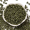 Baking Paint Glass Seed Beads SEED-L011-12A-02-2