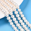 Natural Cultured Freshwater Pearl Beads Strands PEAR-N016-07B-2